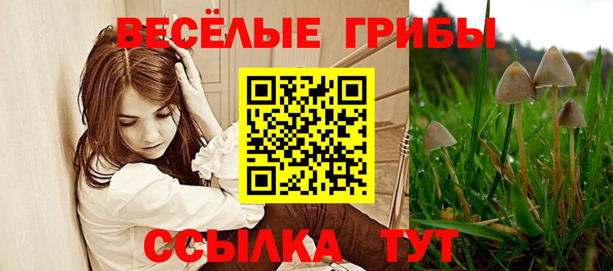 Галлюциногенные грибы Magic Shrooms Ишим